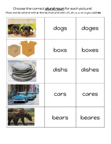 Plural Nouns s and es