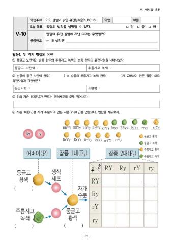 5-10:멘델의 유전 원리(독립의 법칙)