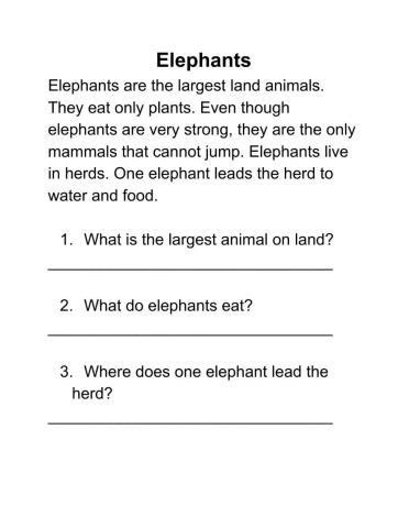 Elephants reading-questions