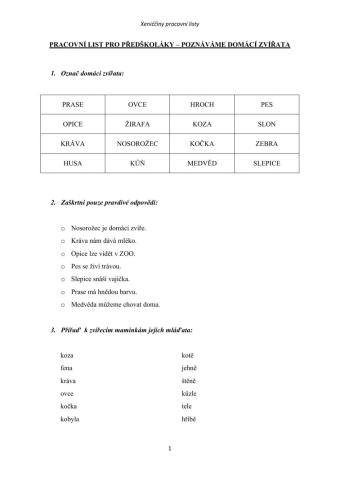 Pracovní list pro předškoláky - Člověk a jeho svět-