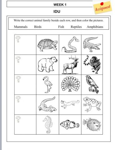 Vertebrates