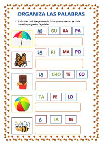 Observa y organiza