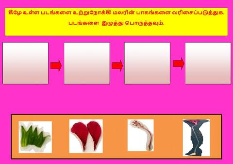 Reproduction and Modification in Plants