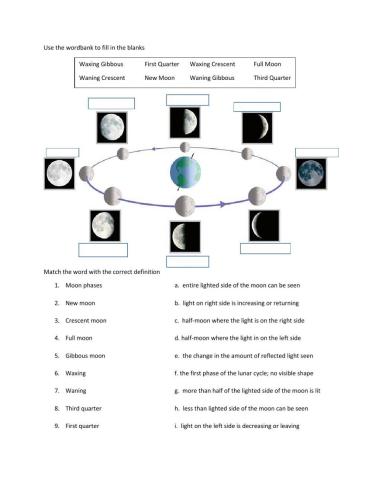 Moon Phases