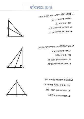 תיכון במשולש