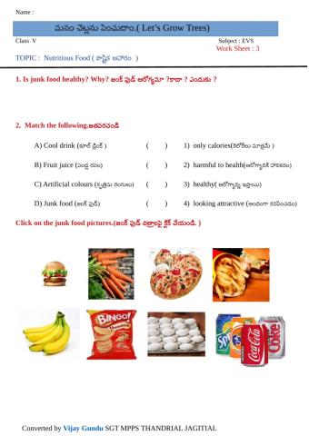 5th nutri food 4 by Vijay Gundu