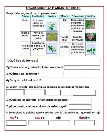 Leemos sobre plantas que curan