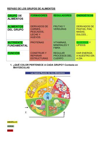 Grupos de alimentos Y NUTRIENTES