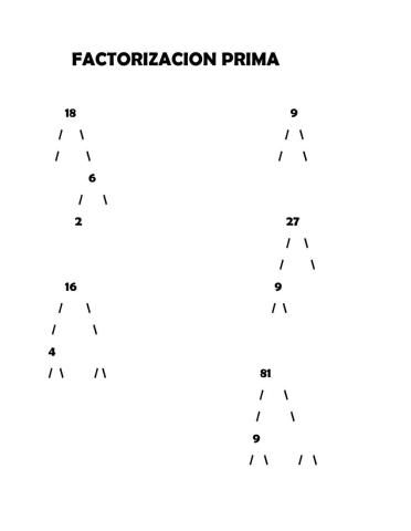 Factorizacion prima