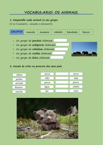 Vocabulario: Os Animais