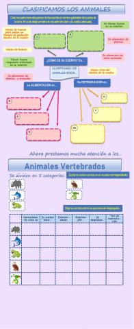 Clasificamos - Clasificando animales.