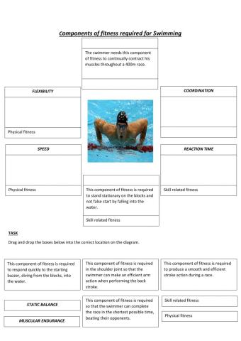 Components of fitness - sporting examples