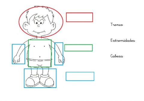 El cuerpo humano