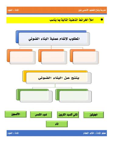 ورقة عمل البناء الضوئي 2