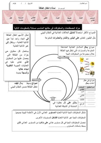 ورقة 7تفاعليةع