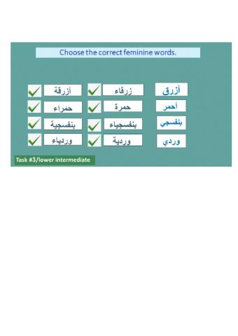 Reading Comprehension year 8 beginner midterm task 3