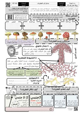 الفطريات