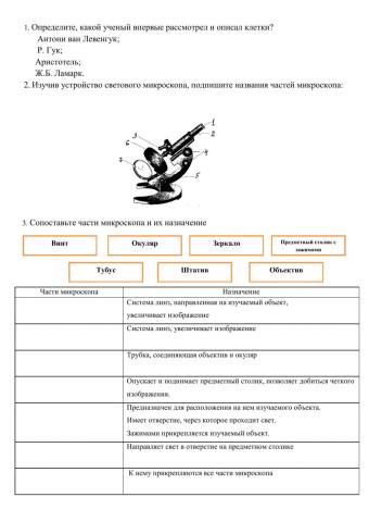 Лабораторная работа № 1