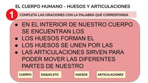 Educación Física - Cuerpo humano: huesos y articulaciones