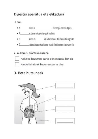 Digestio aparatua errepasua. Zubia argitaletxeko materialean oinarrituta