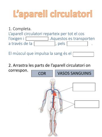 APARELL CIRCULATÒRI