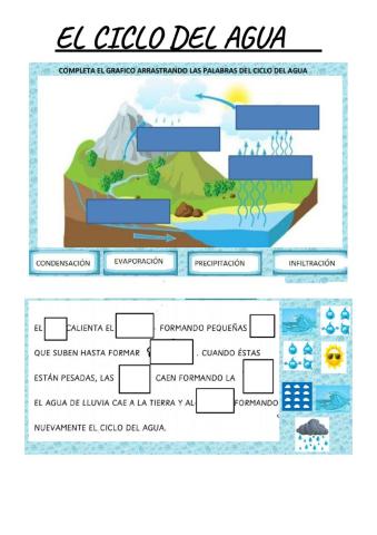 El ciclo del agua