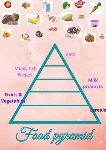 Food pyramid