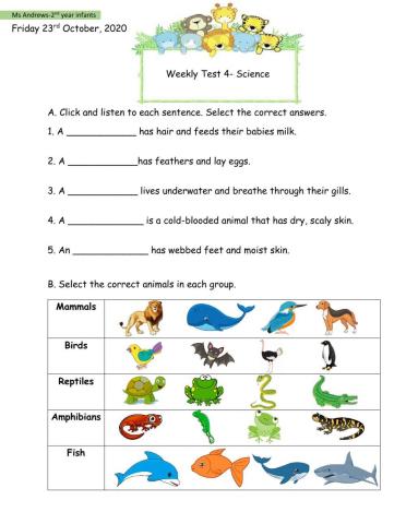 Vertebrates Test