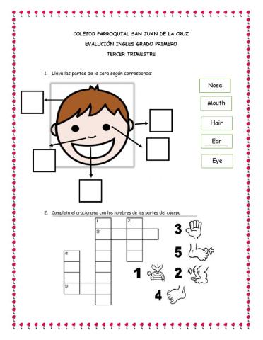 Evaluacion ingles