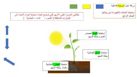 تكيف النباتات لبيئاتها