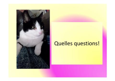 Quelles questions!