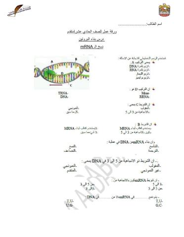 MRNA نسخ