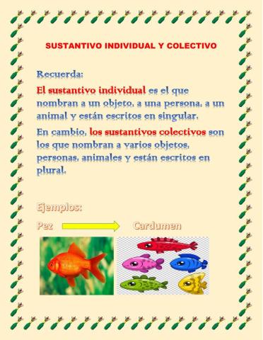 Sustantivo Individual y Colectivo