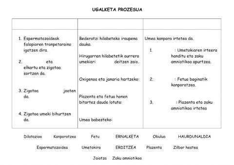 Ugaltze prozesua