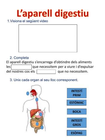 L'aparell digestiu