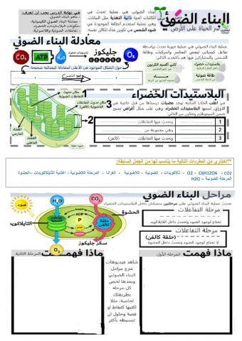 المدينه