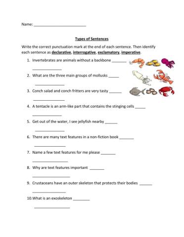 Types of sentences