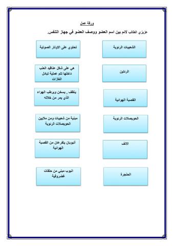 الجهاز التنفسي