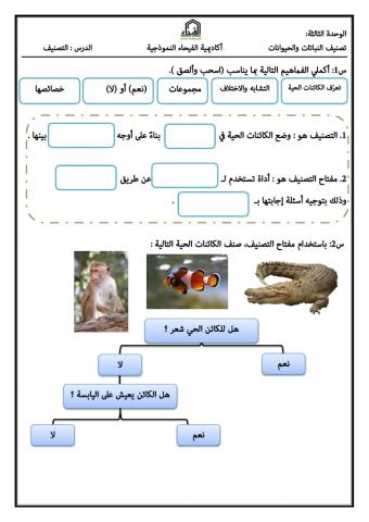 التصنيف