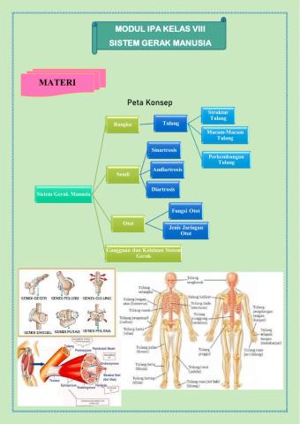 Sistem Gerak Manusia