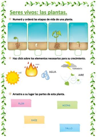 Seres vivos: plantas