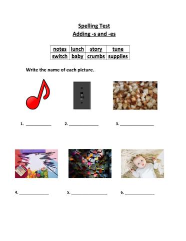 Adding -s and -es