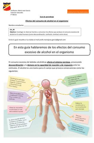 Ficha Efectos del consumo de alcohol en el organismo