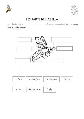 LES PARTS DE LES ABELLES PROVA