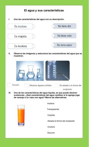 El agua y sus características