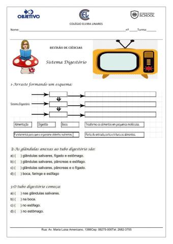 Sistema digestório