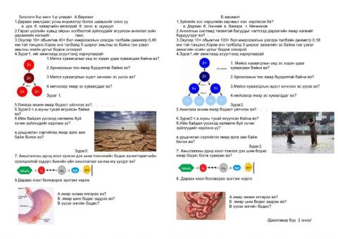 Хоол боловсруулах эрхтэн тогтолцоо