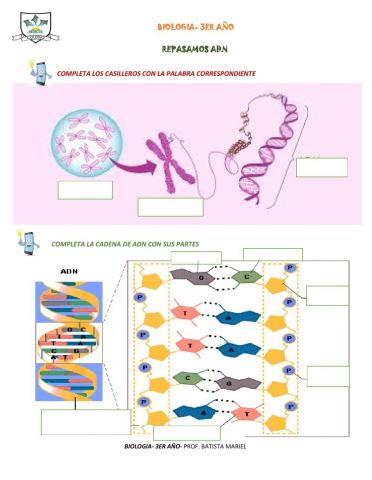 Biologia adn