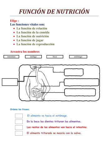 Función de nutrición