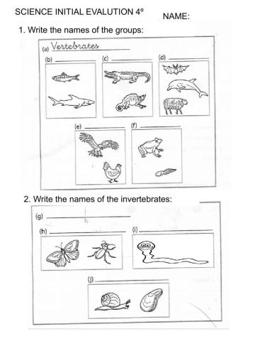 Initial evaluation Science 4º